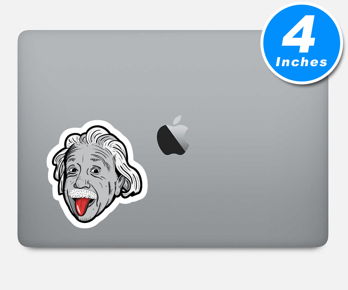 Einstein Vinyl Stickers