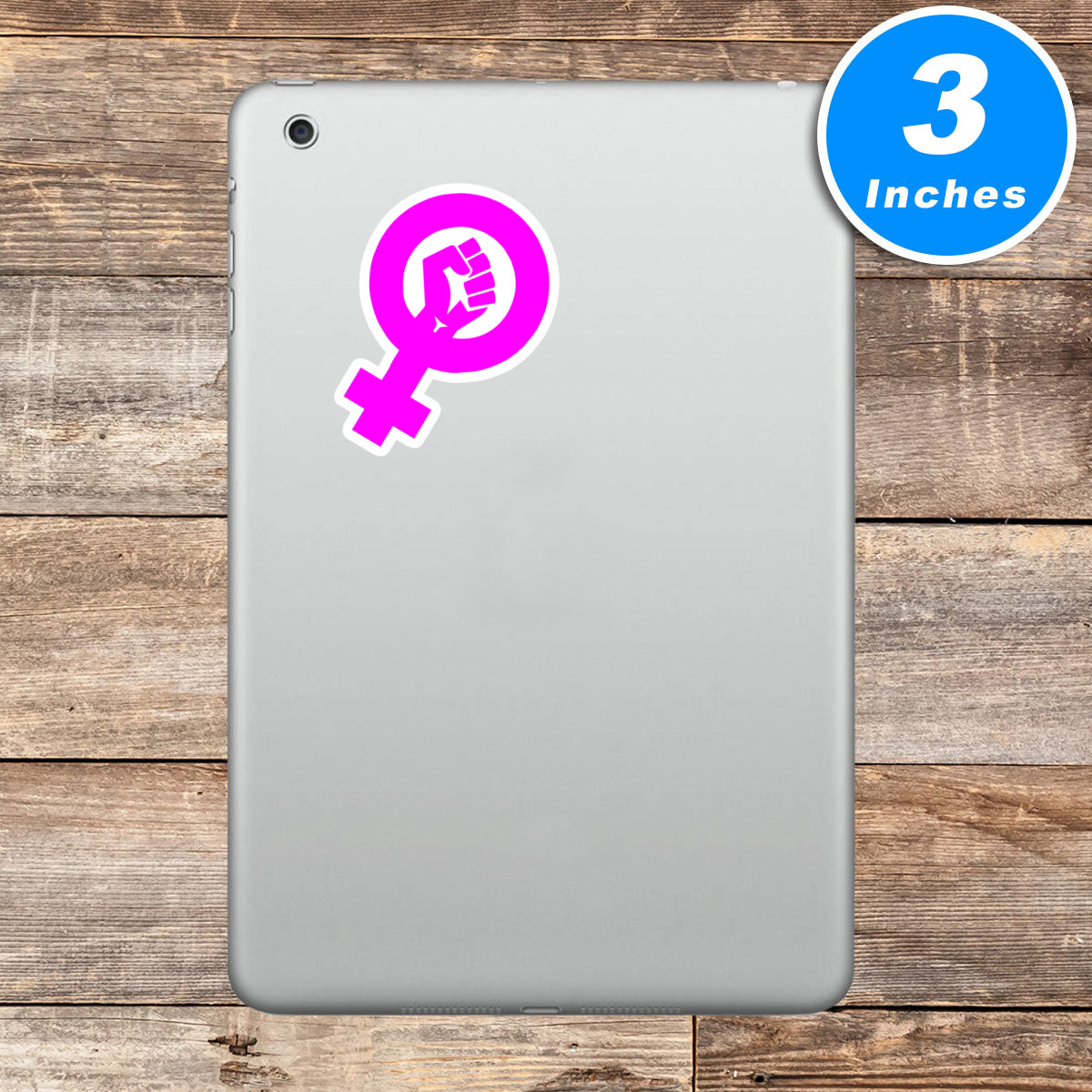 Feminism Feminists Womens Empowerment Vinyl Stickers