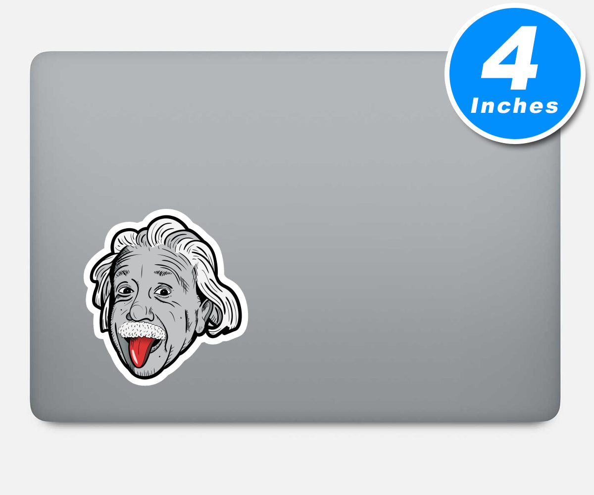 Einstein Vinyl Stickers