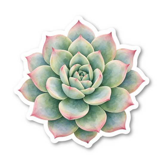 Succulent Stickers Vinyl Sticker