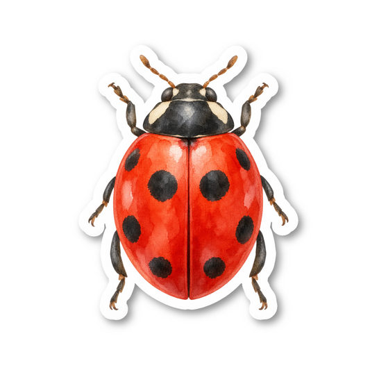 Ladybug Stickers Vinyl Sticker