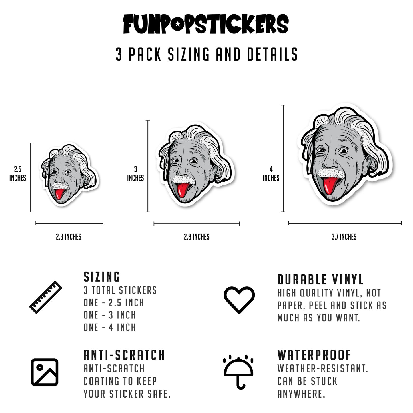 Einstein Vinyl Stickers