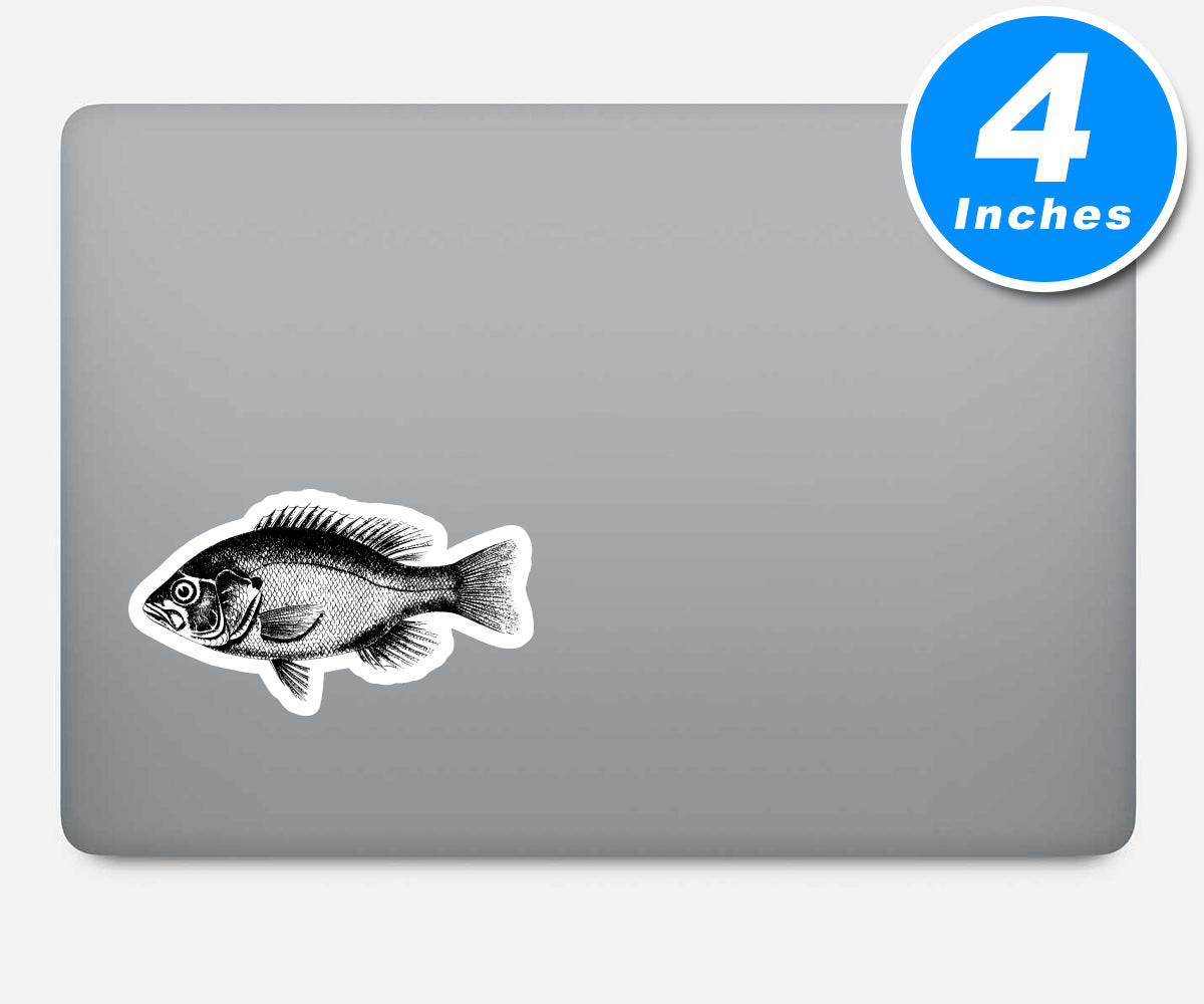 Fish Bass Vinyl Stickers