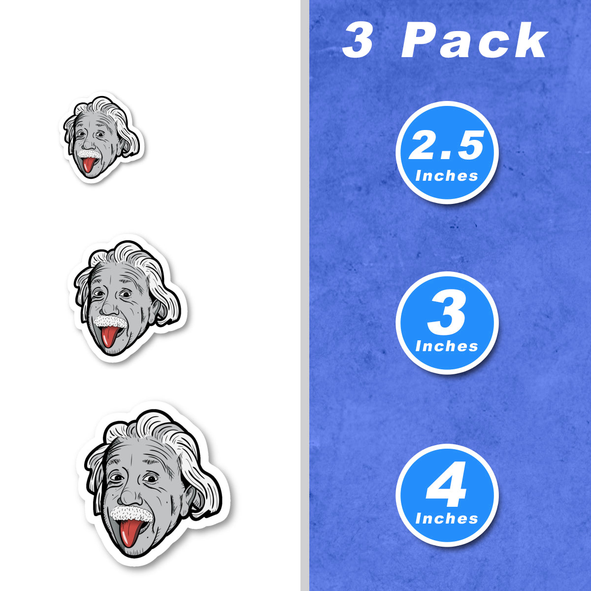 Einstein Vinyl Stickers