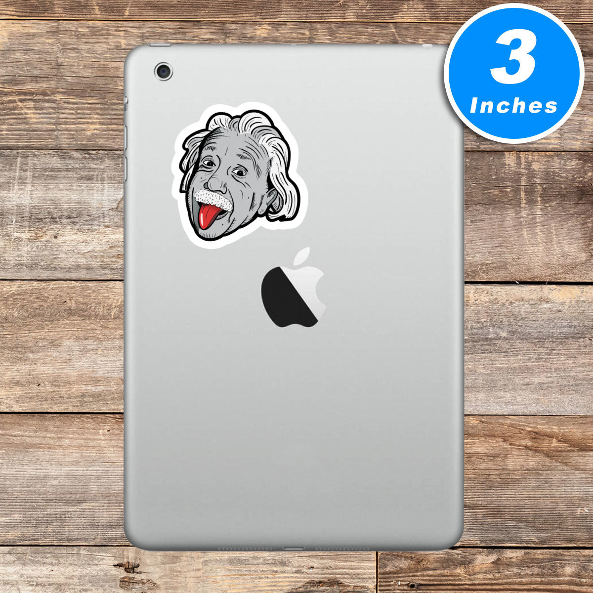 Einstein Vinyl Stickers