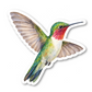 Hummingbird Stickers Vinyl Sticker