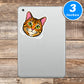 Cat Stickers Vinyl Stickers