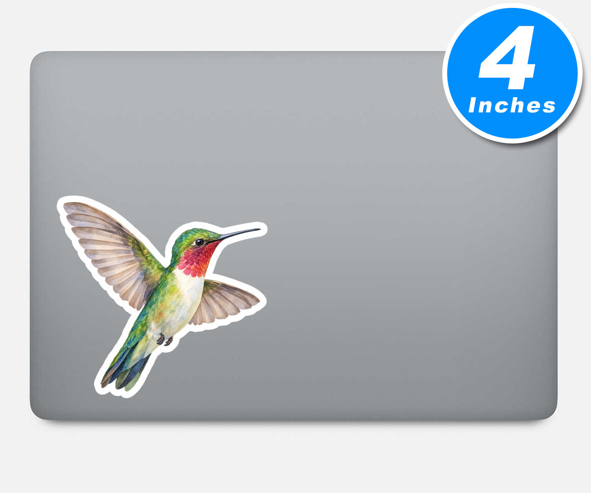 Hummingbird Stickers Vinyl Stickers