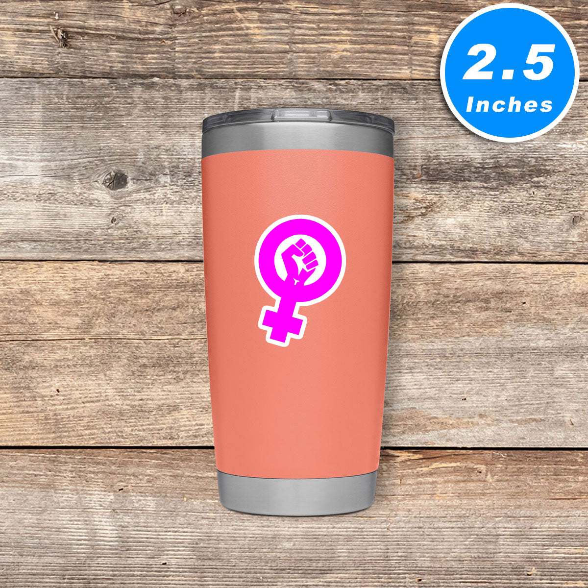 Feminism Feminists Womens Empowerment Vinyl Stickers