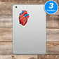 Anatomy Vinyl Stickers