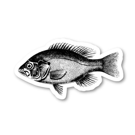 Fish Bass Vinyl Sticker