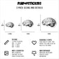 Brain Anatomy Medical Students Vinyl Stickers