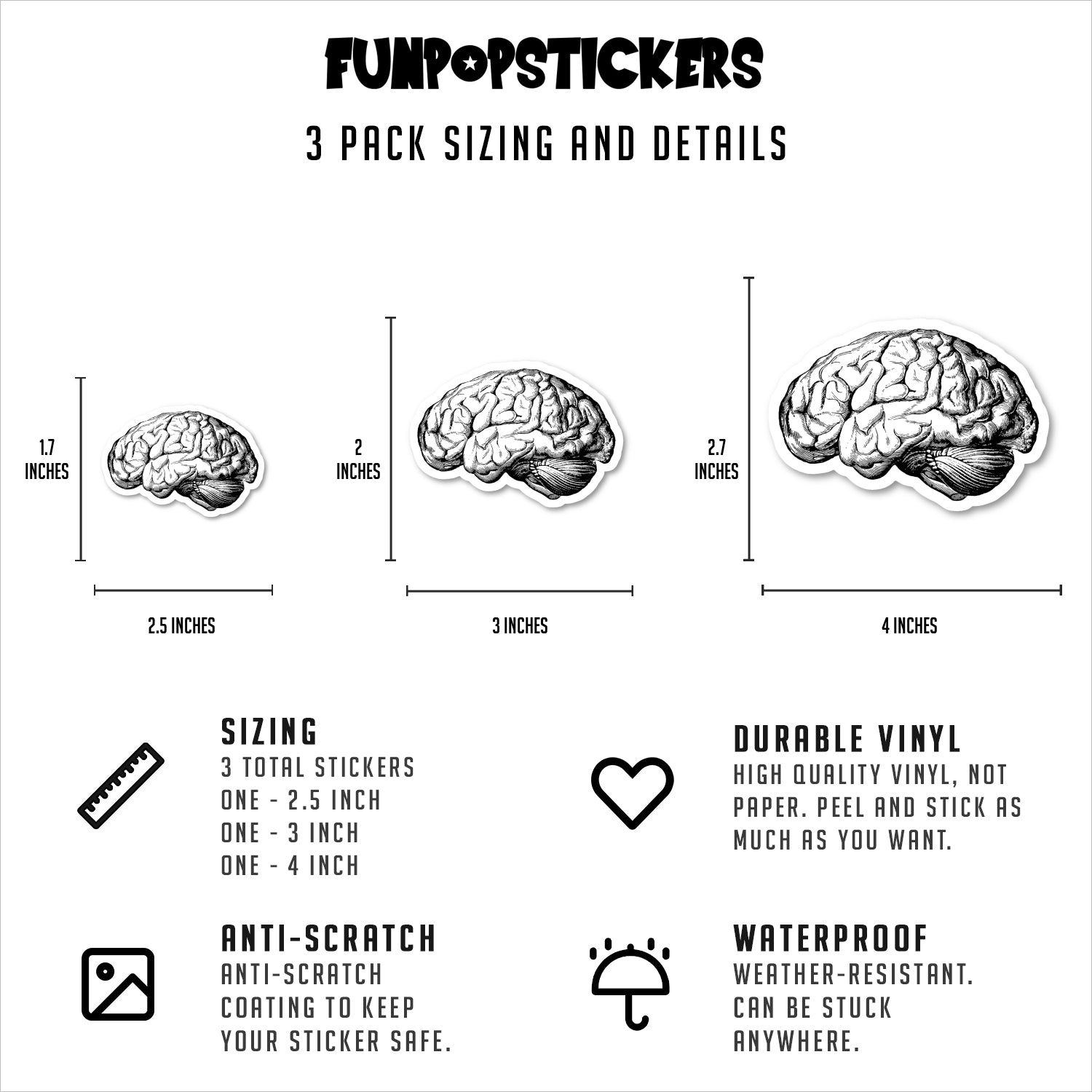 Brain Anatomy Medical Students Vinyl Stickers