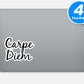 Carpe Diem Vinyl Stickers