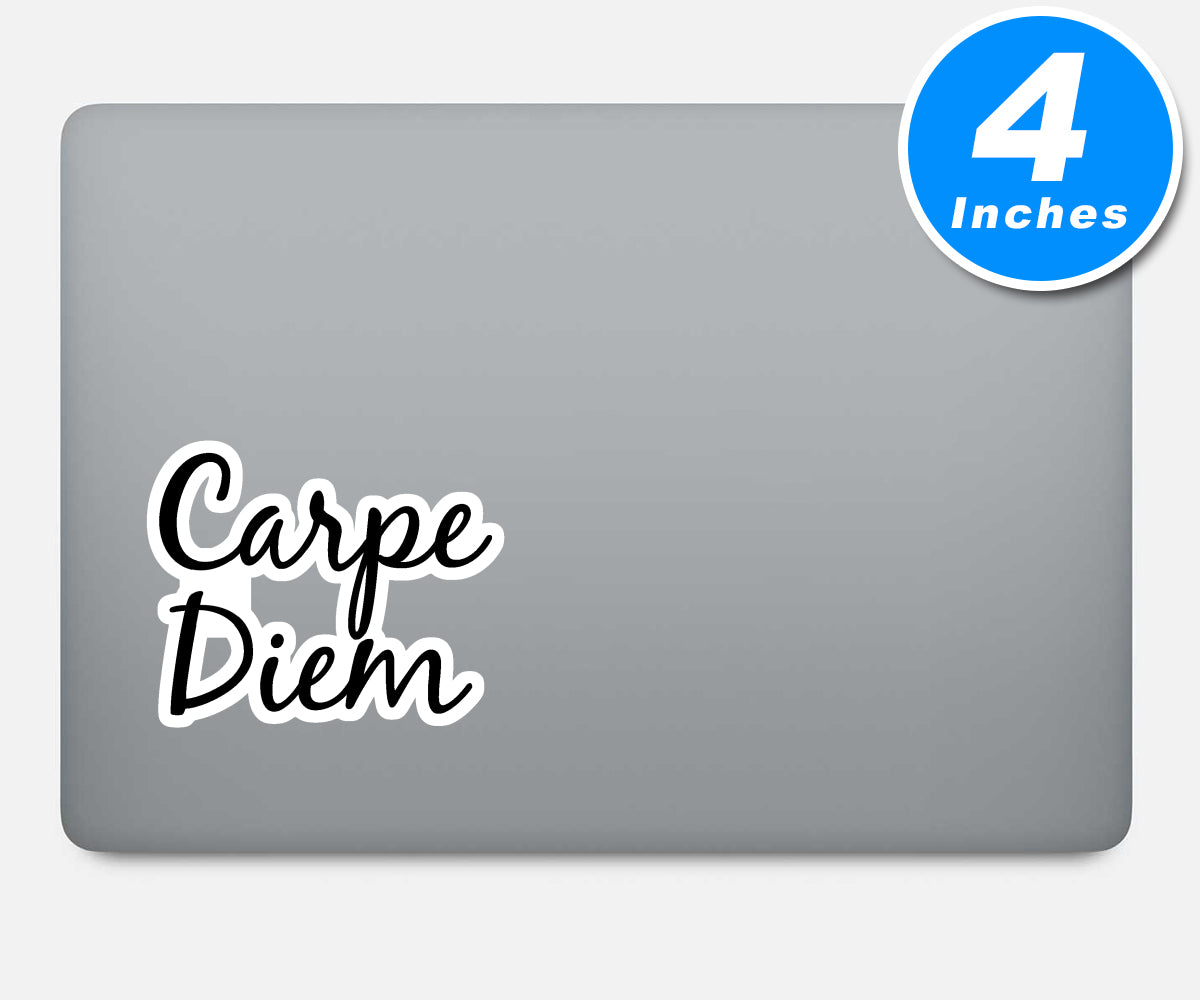 Carpe Diem Vinyl Stickers