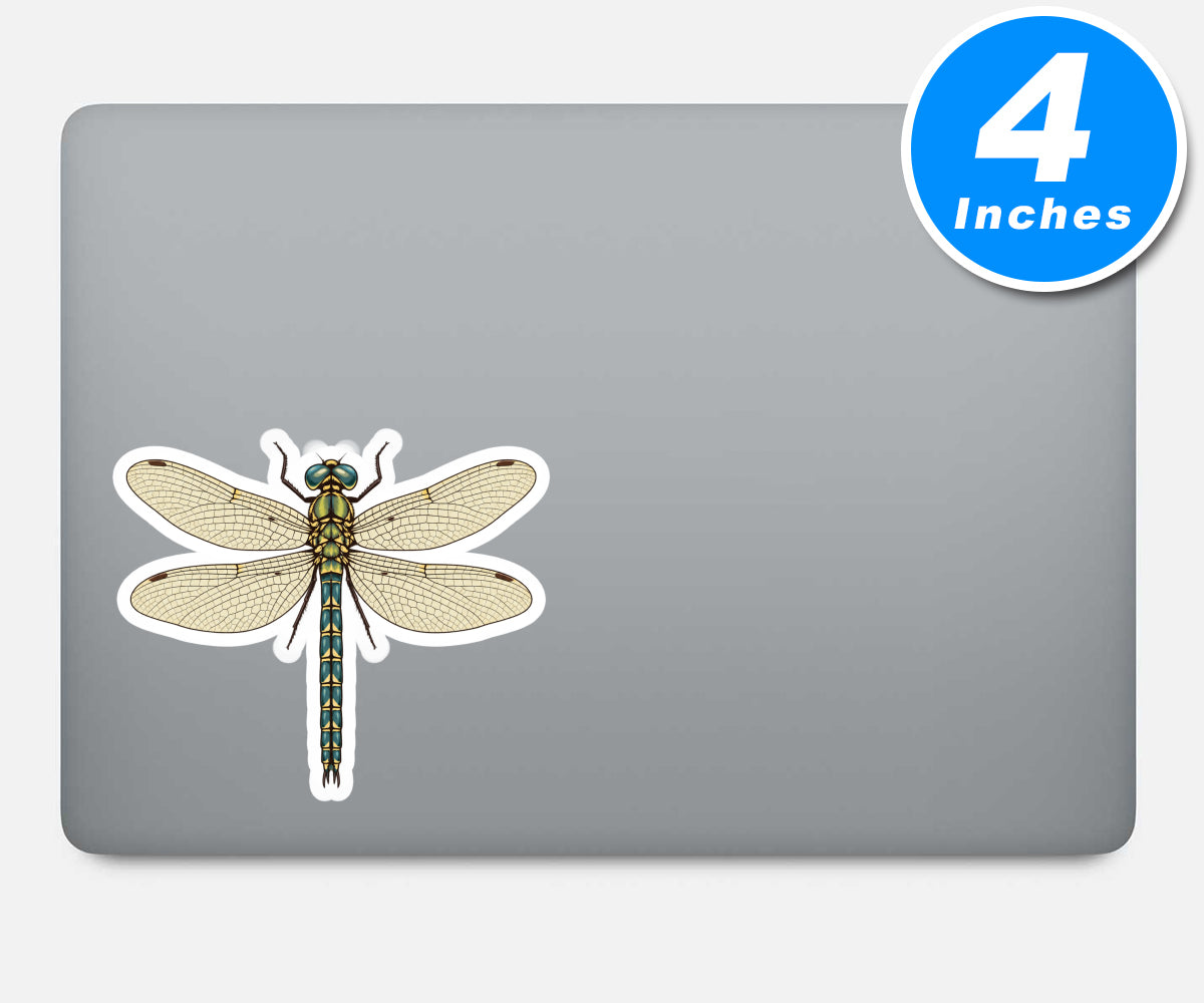 Vintage Dragonfly Nature Sticker Vinyl Stickers