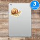 Snail Stickers Vinyl Stickers