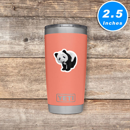 Panda Bear Vinyl Stickers