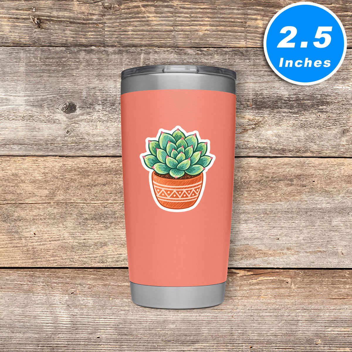 Succulent Stickers Vinyl Stickers