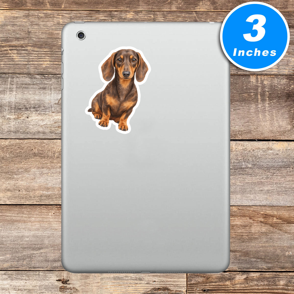 Dachshund Stickers Vinyl Stickers