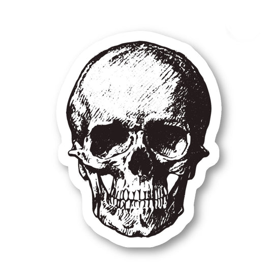 Skull Vinyl Sticker