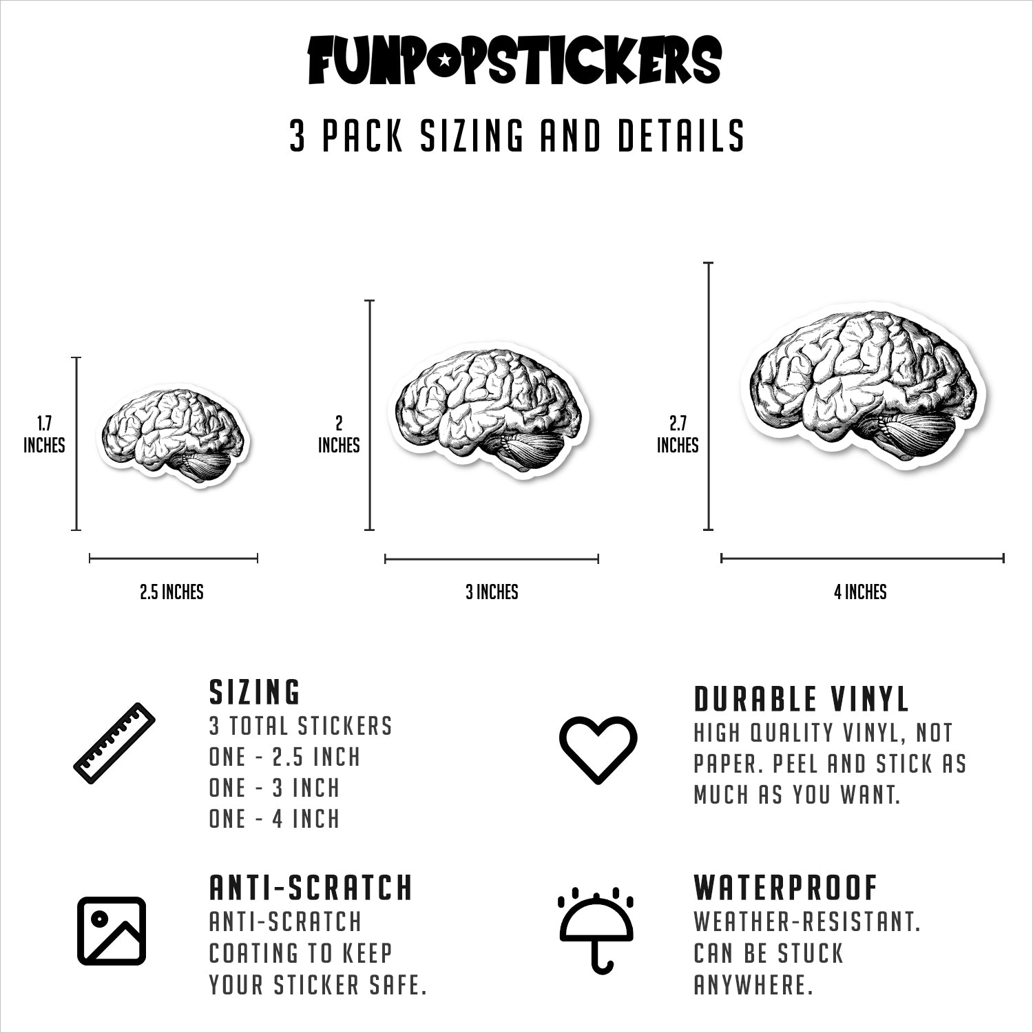 Brain Anatomy Medical Students Vinyl Stickers