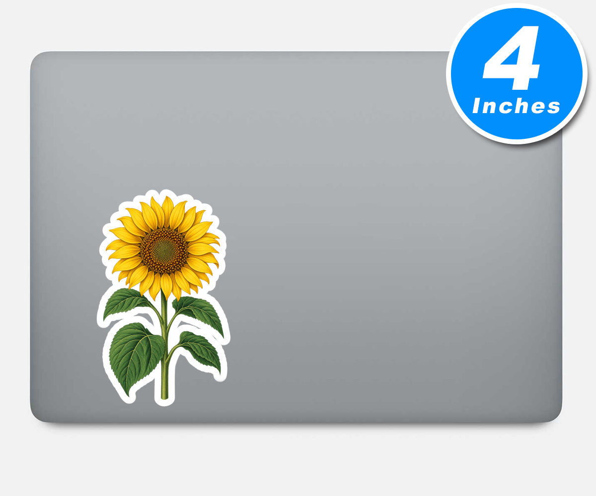 Vintage Botanical Illustration Sticker Vinyl Stickers