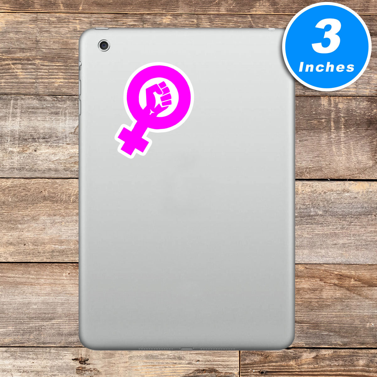 Feminism Feminists Womens Empowerment Vinyl Stickers