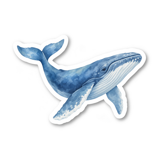 Whale Stickers Vinyl Sticker