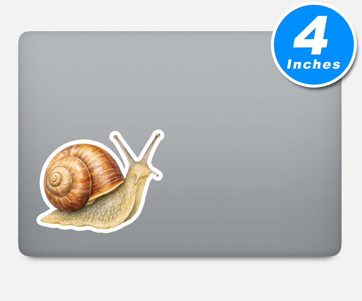 Snail Stickers Vinyl Stickers