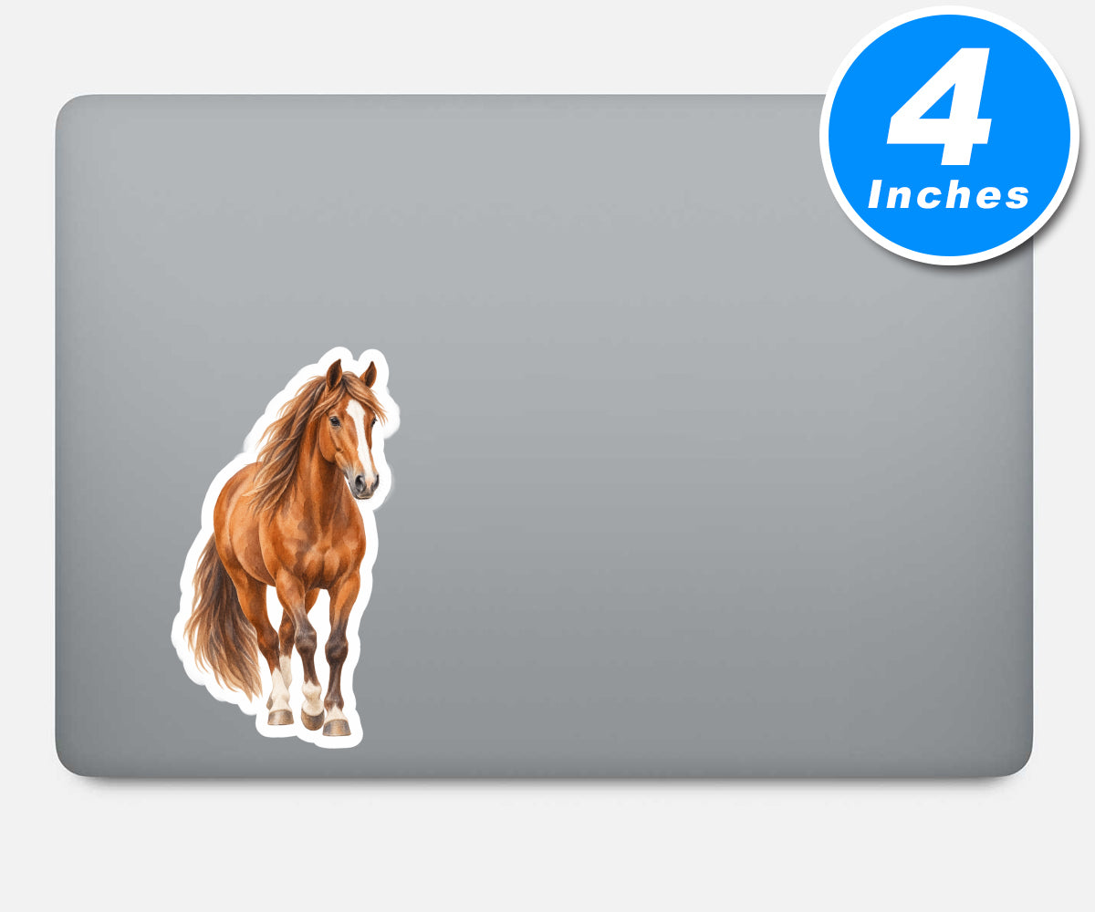 Horse Stickers Vinyl Stickers