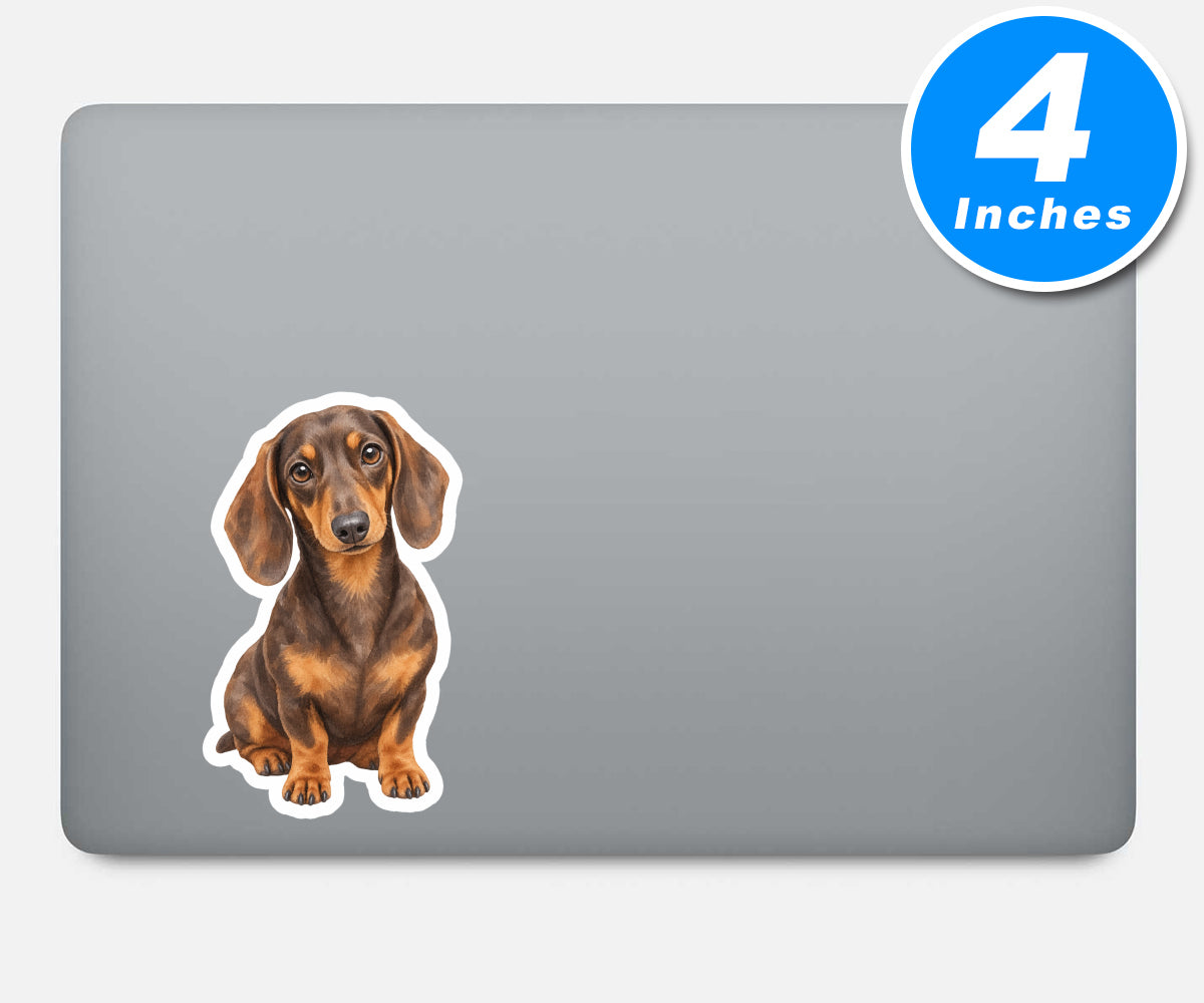 Dachshund Stickers Vinyl Stickers