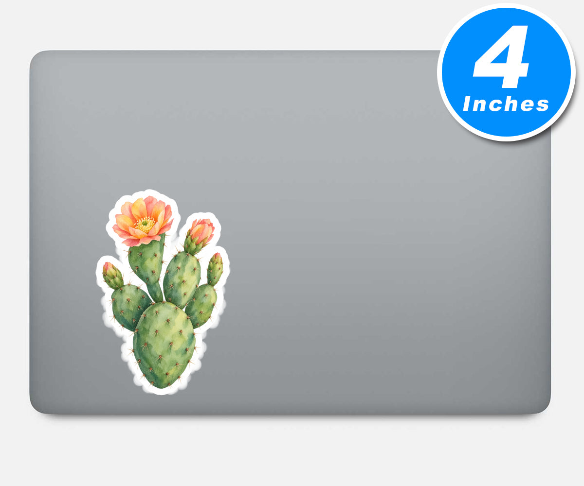 Cactus Stickers Vinyl Stickers