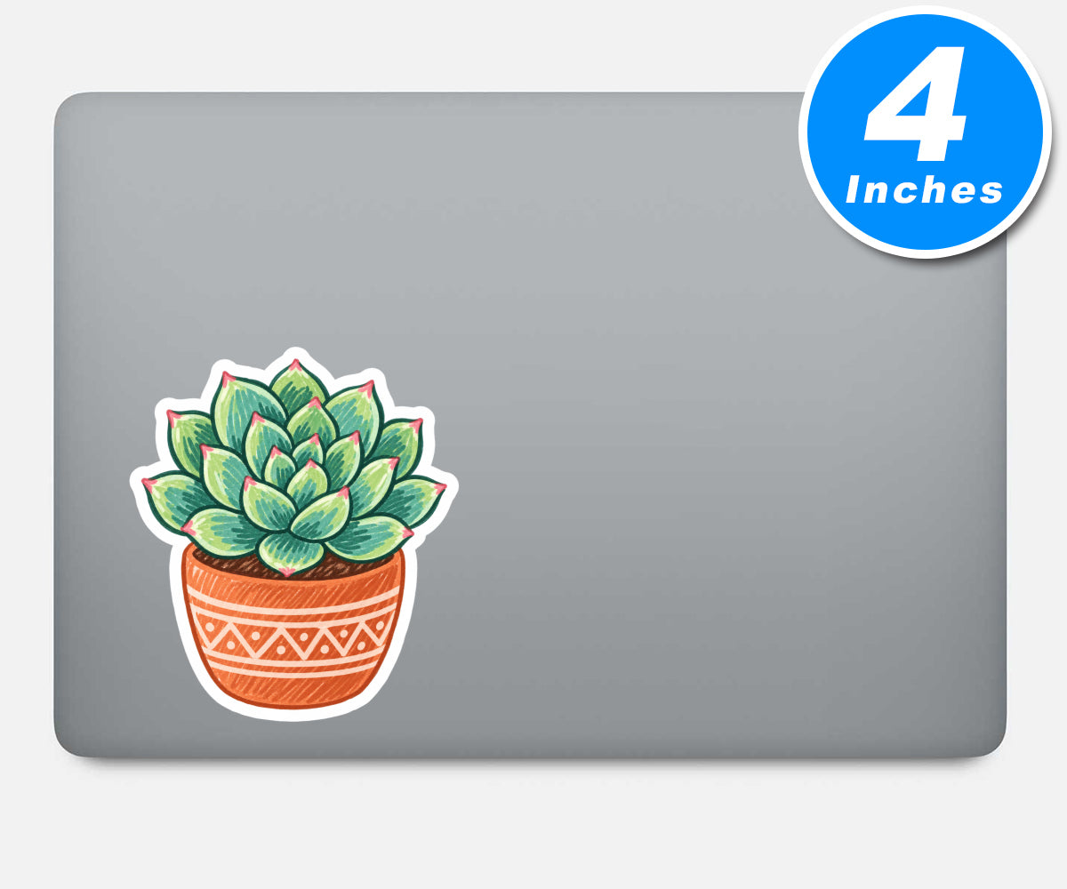 Succulent Stickers Vinyl Stickers
