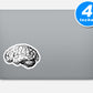 Brain Anatomy Medical Students Vinyl Stickers
