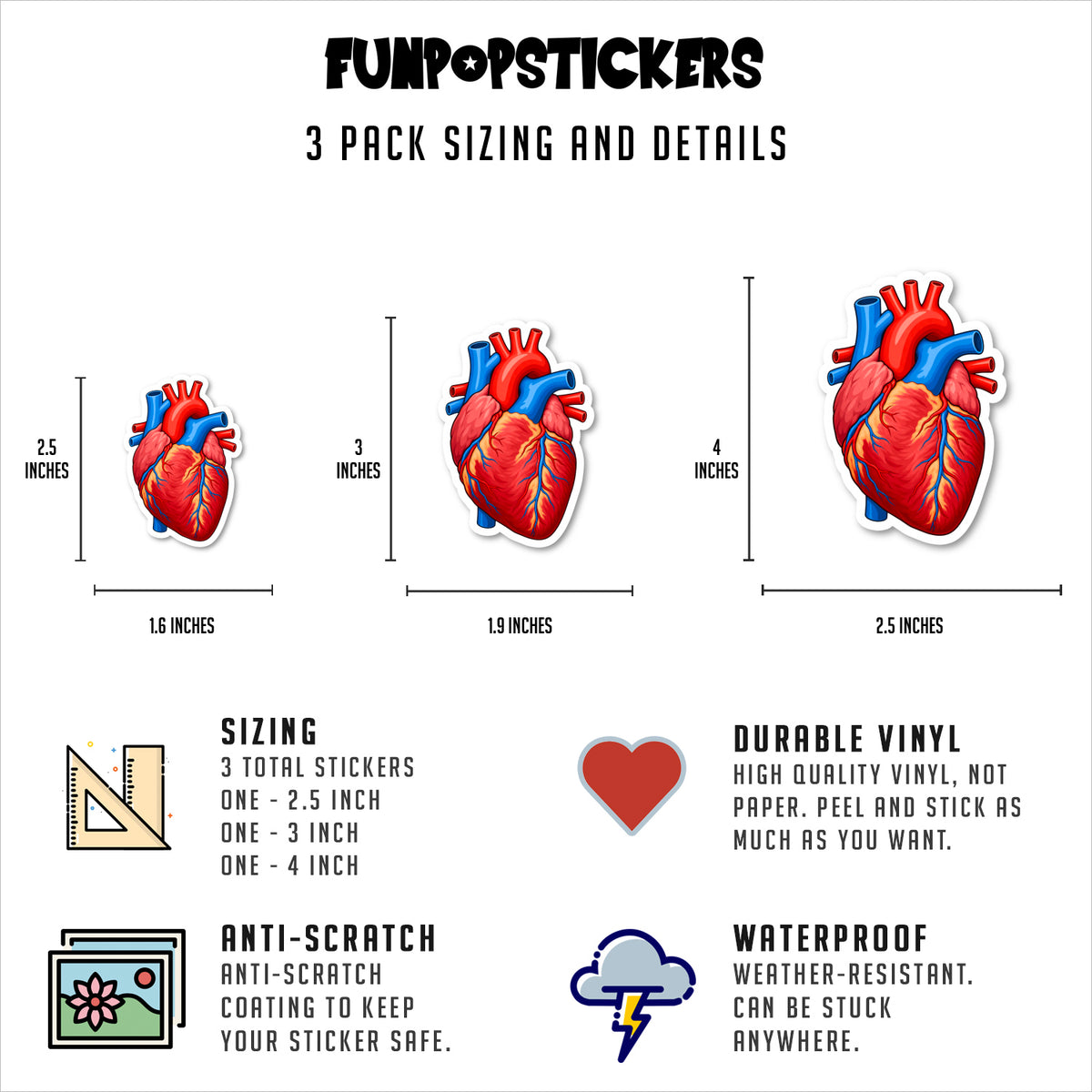 Anatomy Vinyl Stickers