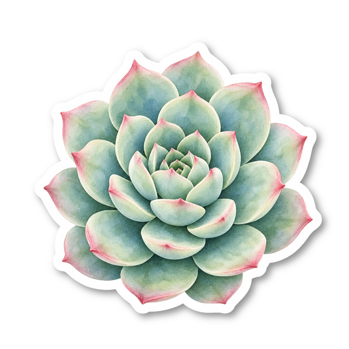 Succulent Stickers Vinyl Sticker