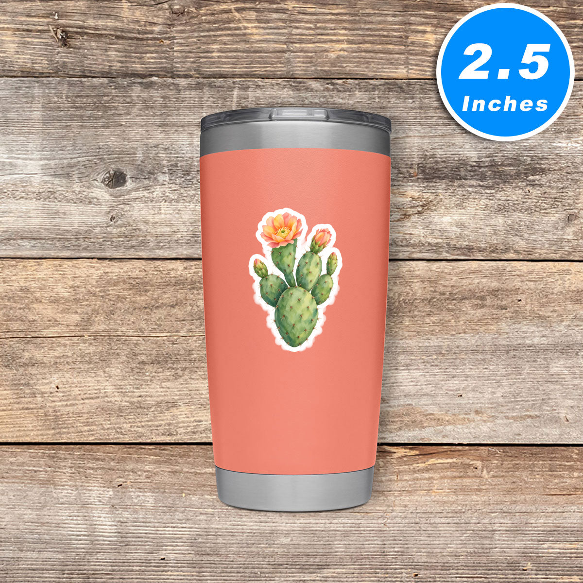 Cactus Stickers Vinyl Stickers