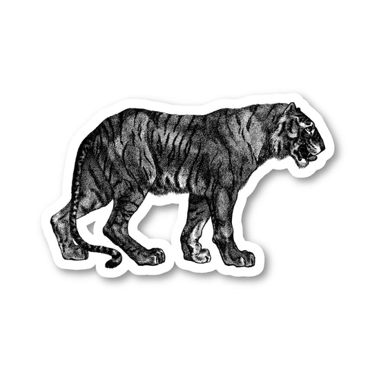 Tiger Drawing Black And White Vinyl Sticker