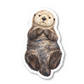 Sea Otter Stickers Vinyl Sticker