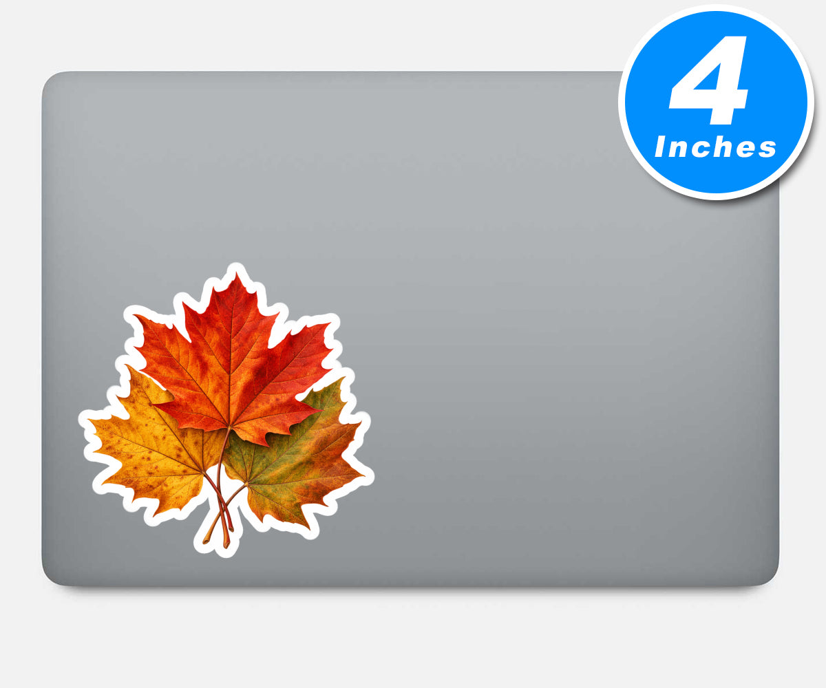 Fall Leaves Vinyl Stickers