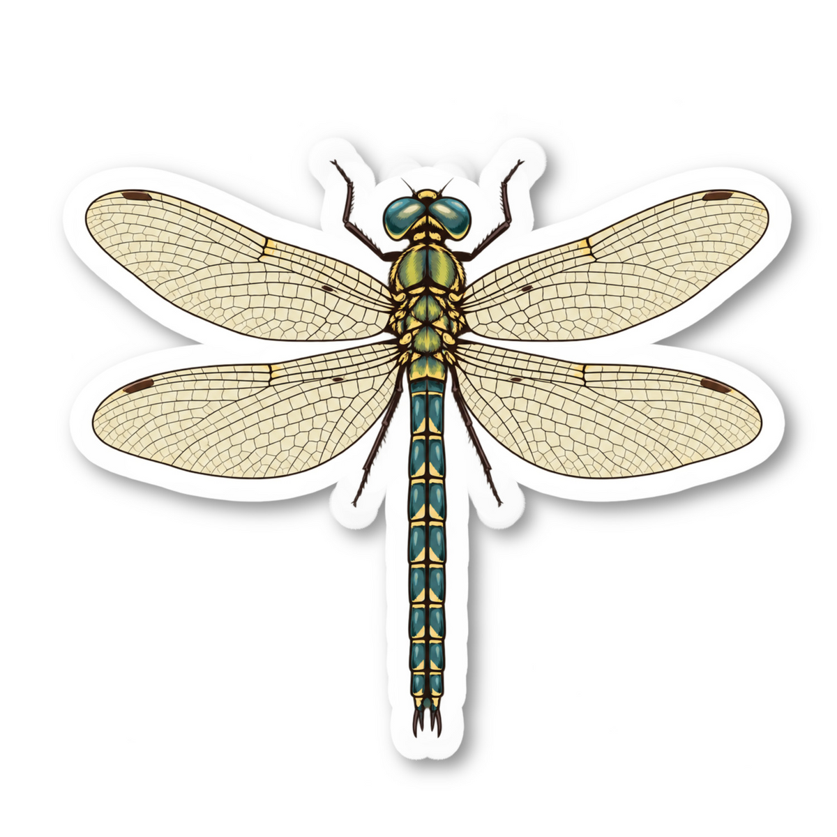 Vintage Dragonfly Nature Sticker Vinyl Sticker