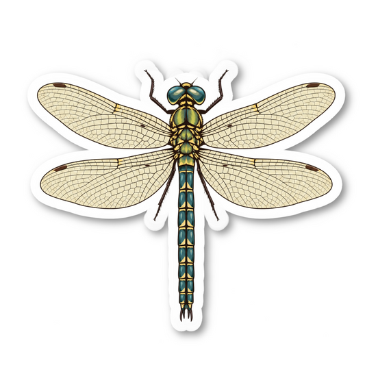 Vintage Dragonfly Nature Sticker Vinyl Sticker