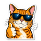 Meme Stickers Vinyl Sticker