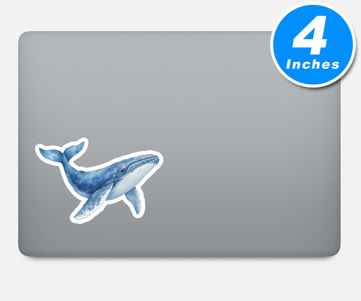 Whale Stickers Vinyl Stickers