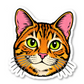Cat Stickers Vinyl Sticker