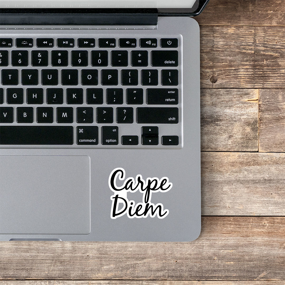 Carpe Diem Vinyl Stickers