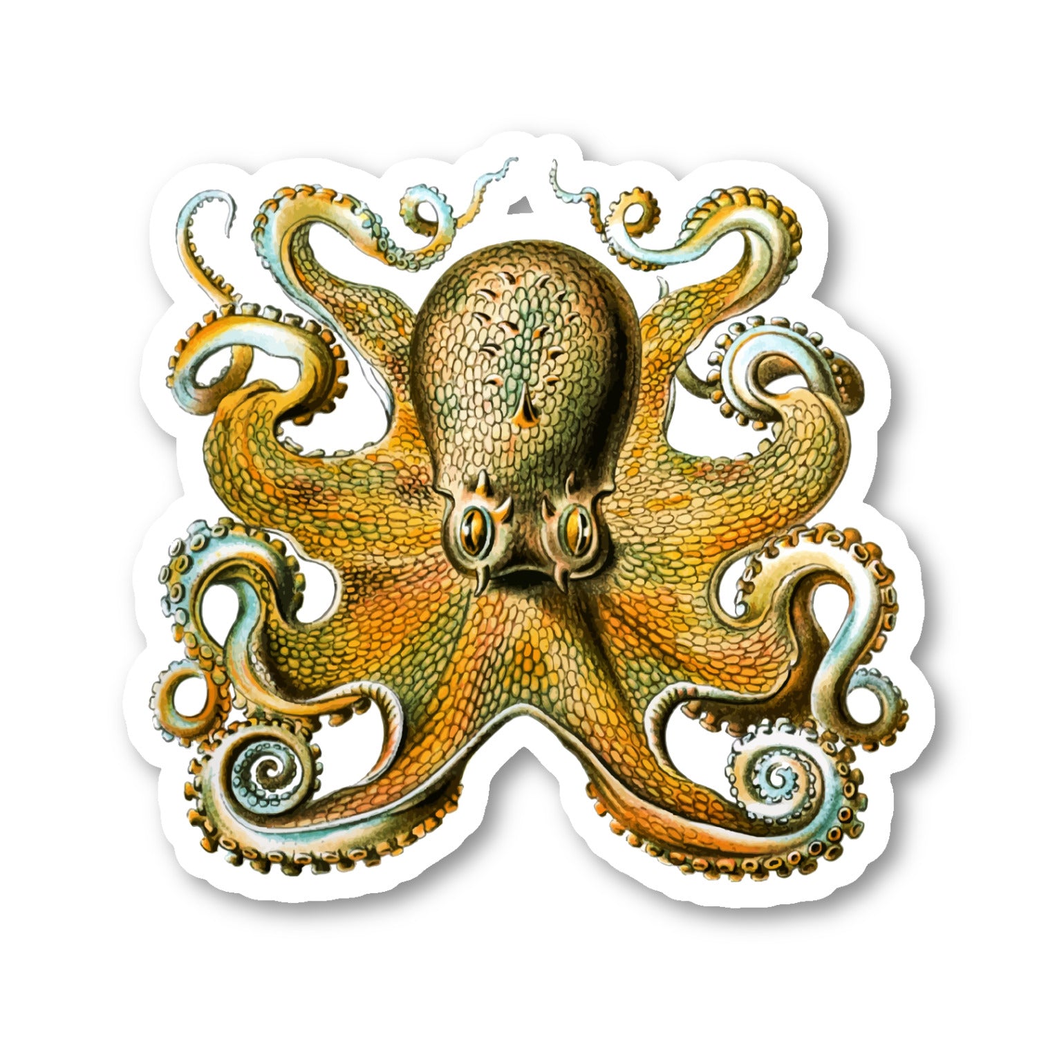 Vintage Octopus Vinyl Sticker