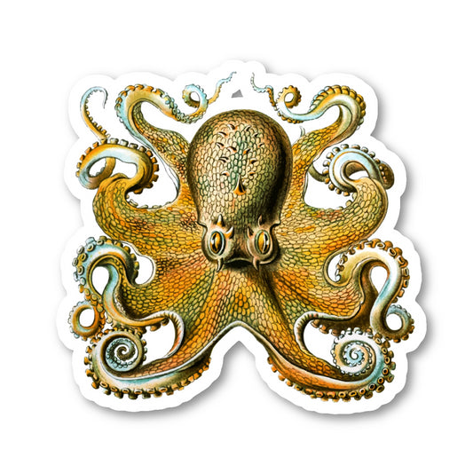 Vintage Octopus Vinyl Sticker