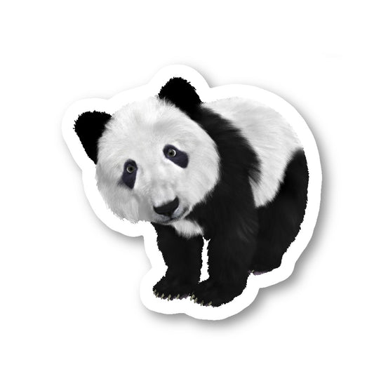 Panda Bear Vinyl Sticker